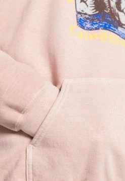 BDG Urban Outfitters BDG TALL PINES HOODIE - Hoodie - Pink -BDG Urban Outfitters shop 28a54bb6bdfe42019ea27f4cf7aaecef