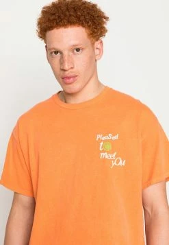 BDG Urban Outfitters PLEASED TO MEET YOU UNISEX - Print T-shirt - Orange -BDG Urban Outfitters shop 51cbbaa79ad44db697eb190bbcd5b024