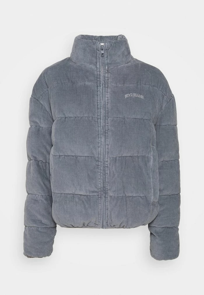 Winter jacket - grey BDG Urban Outfitters Winter Jacket - Grey -BDG Urban Outfitters shop 6155bb0d5165450fa21e40e92ca140d6