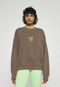 BDG Urban Outfitters COLORADO SPRINGS - Sweatshirt - Brown