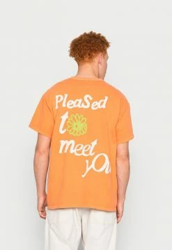 BDG Urban Outfitters PLEASED TO MEET YOU UNISEX - Print T-shirt - Orange